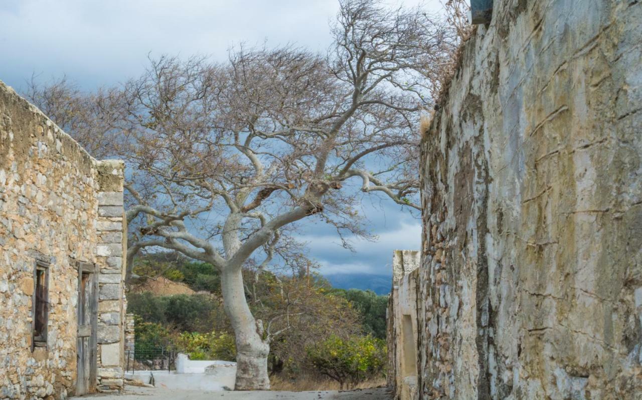 Limeri Traditional Guest House Monolithos  Exteriör bild
